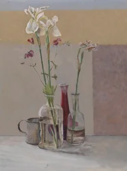 Vysoké bílé kosatce, 2009